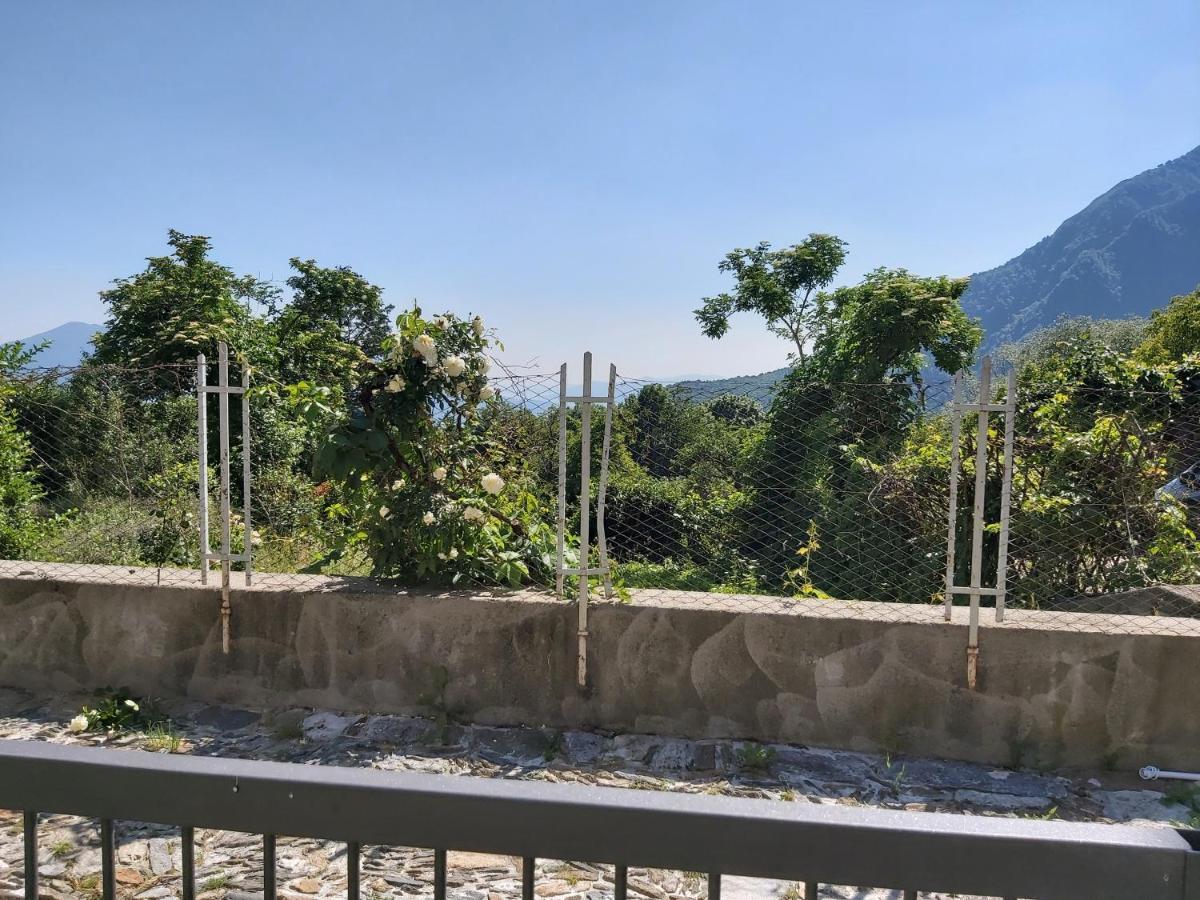 Casa Tartaruga Trarego